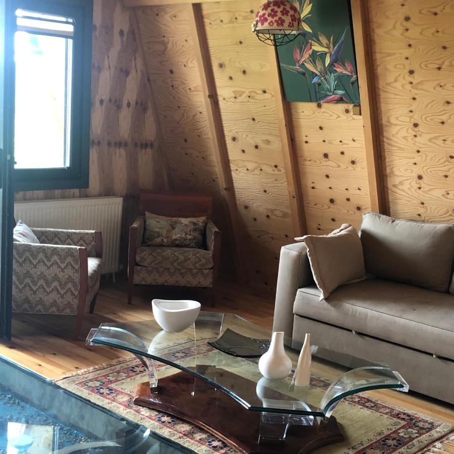 Happy House Bungalov Three-Room Spa Jakuzi Lake View In Sapanca B2 Экстерьер фото